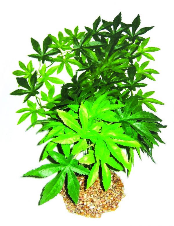 GLOFISH Plant Small Orange/Yellow