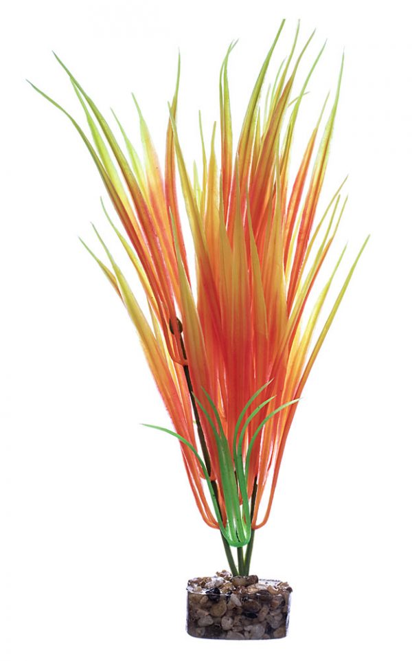 GLOFISH Plant Small Orange/Yellow - Image 2