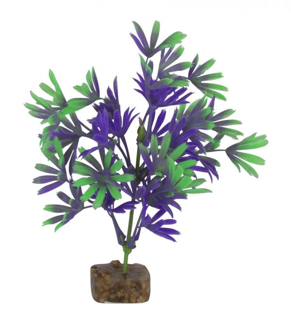GLOFISH Plant Small Purple/Green - Image 2