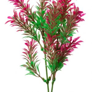 GLOFISH Plant Large Green/Pink