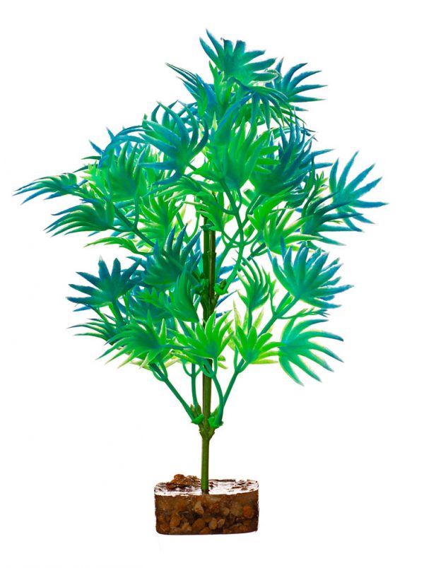 GLOFISH Plant Large Green/Blue