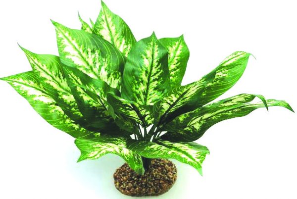 GLOFISH Plant X-Large Green/White