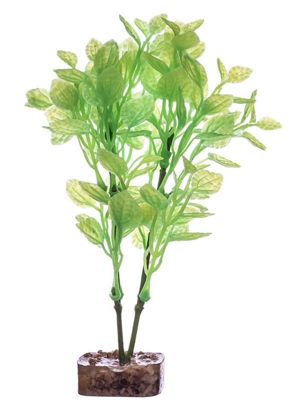 GLOFISH Plant X-Large Green/Yellow - Image 2