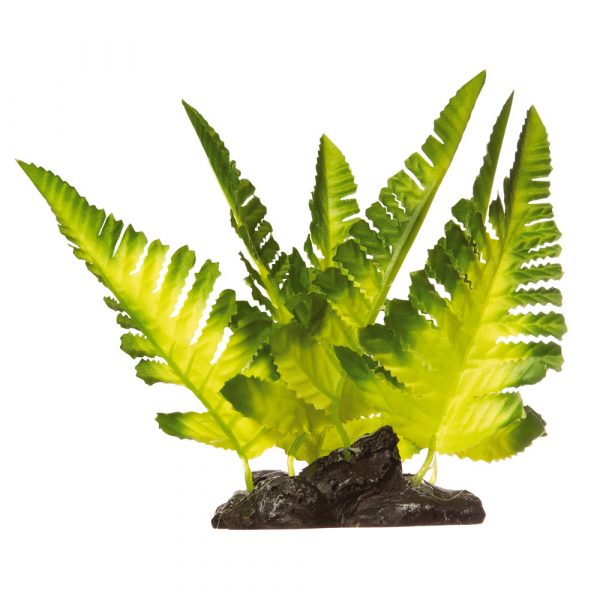 GLOFISH Plant Yellow Fern Md - Image 3