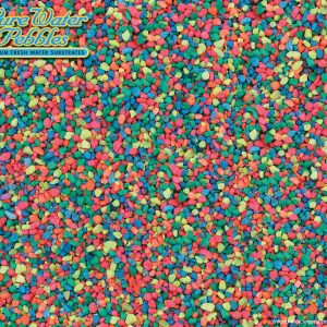 WORLD WIDE IMPORTS Neon Rainbow 5lb x 6pc