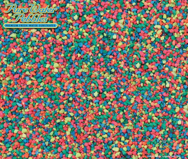 WORLD WIDE IMPORTS Neon Rainbow 5lb x 6pc