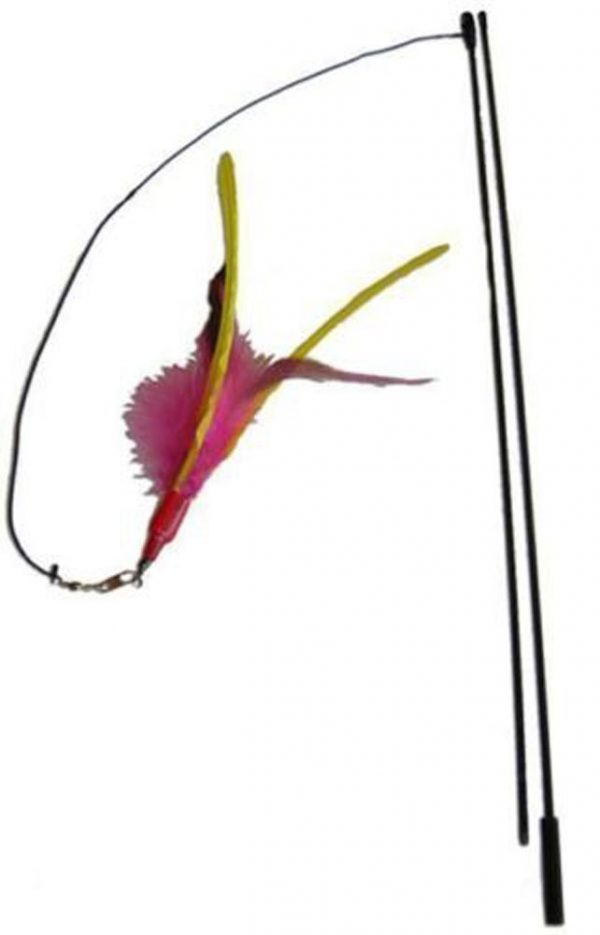 GO CAT Da Bird Pull Apart Rod & Bird - Image 2