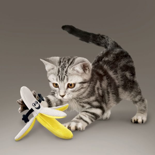 KONG Better Buzz Banana Assorted (2) - Image 3