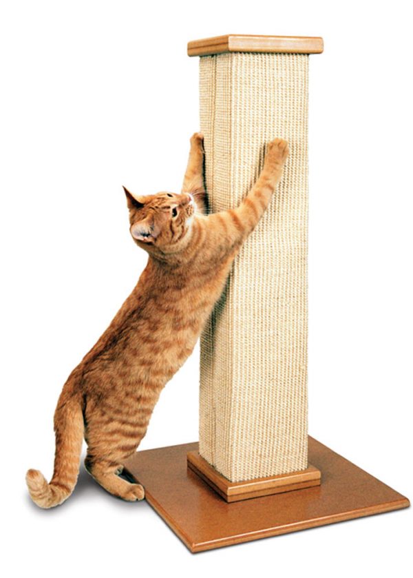 SMARTCAT Ultimate Scratching Post 16x16x32