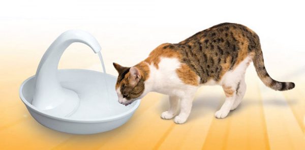 PIONEER Swan Plastic Fountain 80oz - Image 2