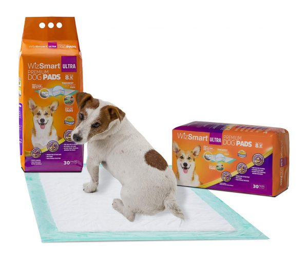 WIZSMART Training Pads Ultra 30 pack - Image 2
