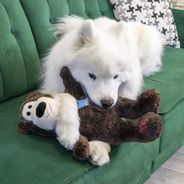 KONG Wild Knots Bear Jumbo Asstd. - Image 6