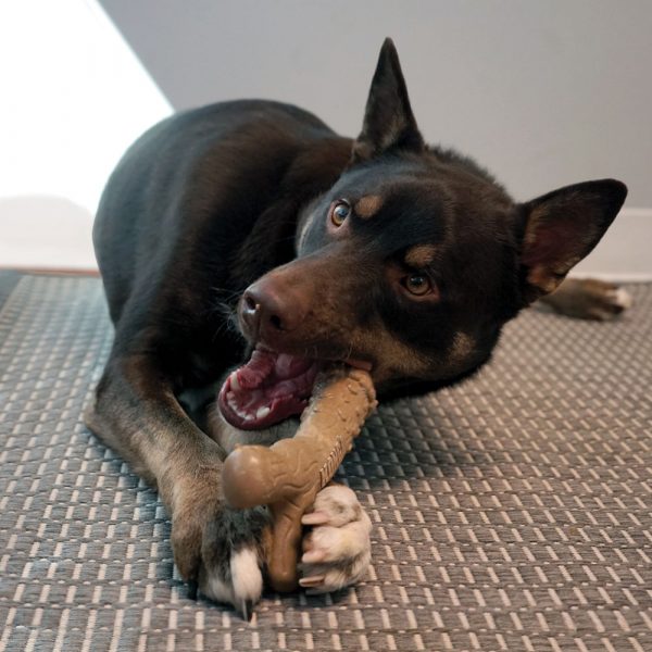 KONG ChewStix Tough Femur Lg - Image 4