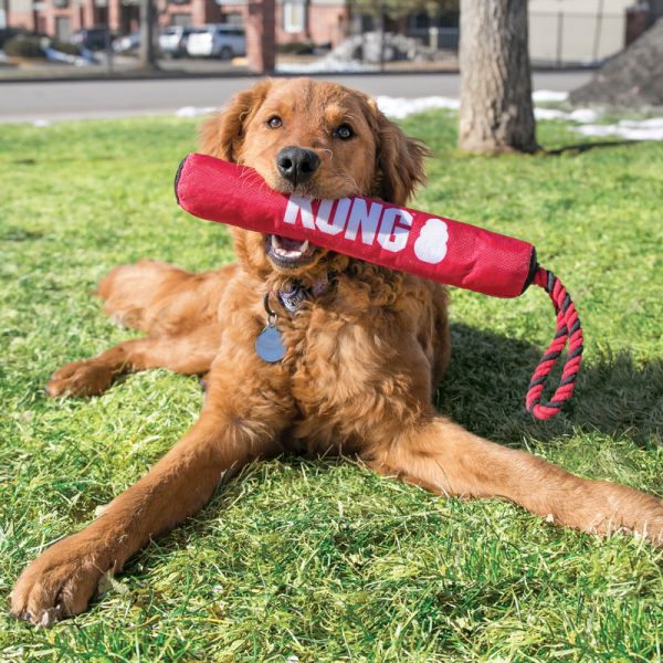 KONG Signature Stick w/Rope Md - Image 4