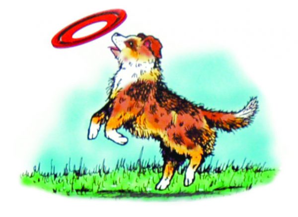 OASIS Dog Catcher Flying Disc 11.5 in - Image 2