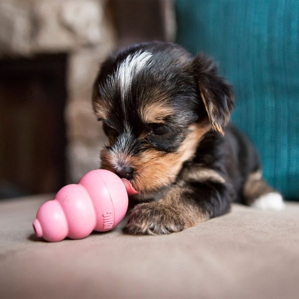 KONG Puppy KONG X-Small - Image 4