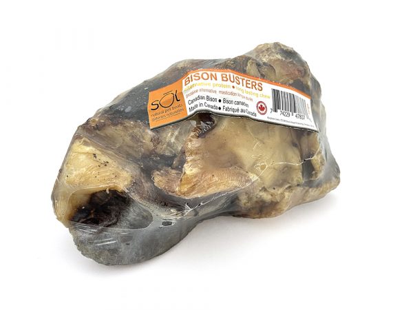 sōl Bison Bone - Large - (6) - Image 2