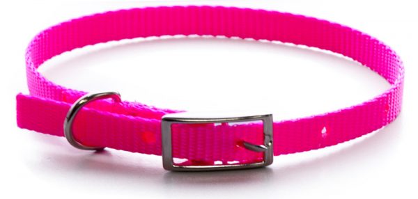 AK-9 Single Layer Nylon Collar 3/8x10in