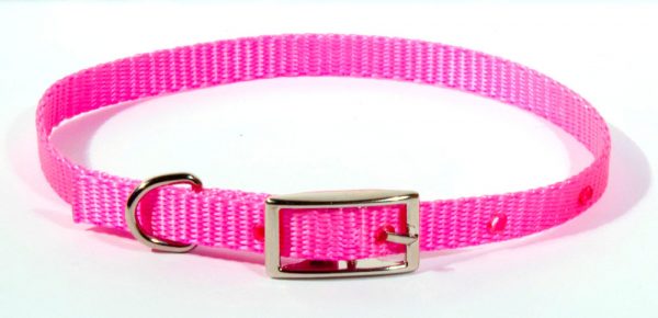 AK-9 Single Layer Nylon Collar 3/8x14in