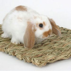 MARSHALL Woven Grass Mat