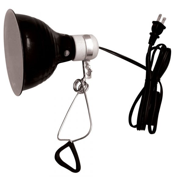 REPTI-FIT Black Dome Clamp Lamp 5.5 in - Image 4
