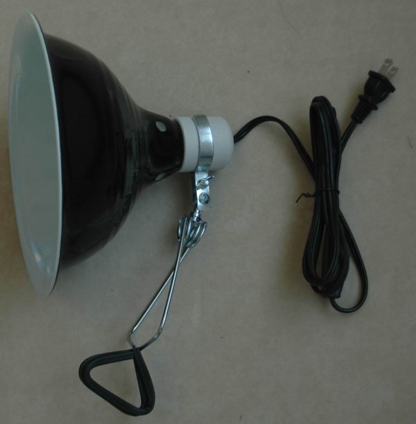 REPTI-FIT Black Dome Clamp Lamp 8.5 in