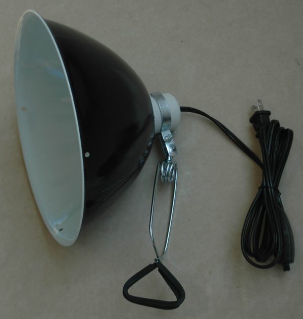 REPTI-FIT Black Dome Clamp Lamp 10 in