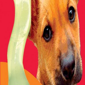 FIDO SF Sm Bone Chk