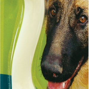 FIDO MED Bone /TP 280