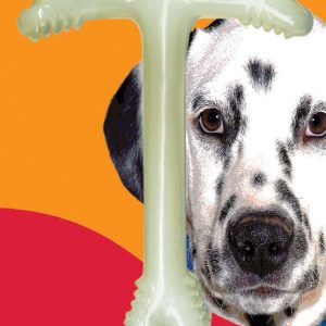 FIDO TEXAS-T-BONE - Lge Bone