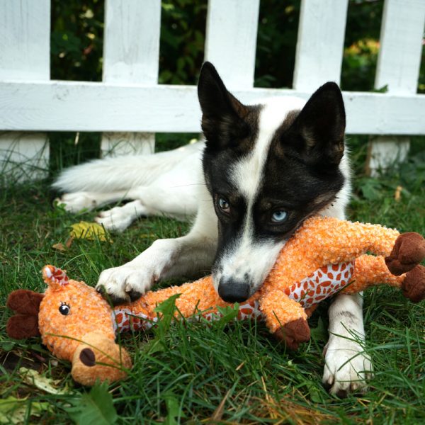 KONG Shakers Luvs Giraffe Sm - Image 4