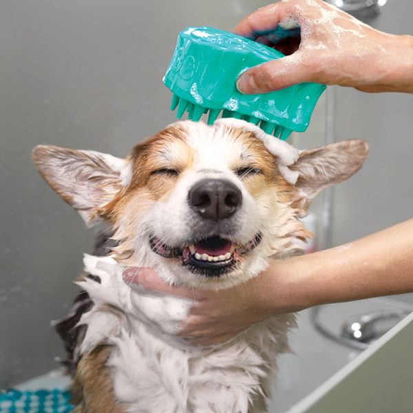 KONG ZoomGroom Bubbles Lg - Image 7