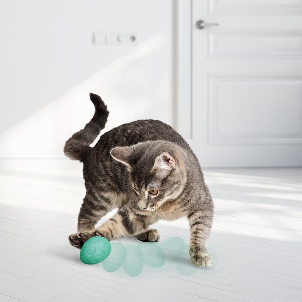 KONG Infused Catnip Egg 2pk - Image 3