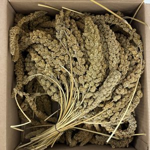 BEAKS! French Yellow Millet Sprays 25 lb Box