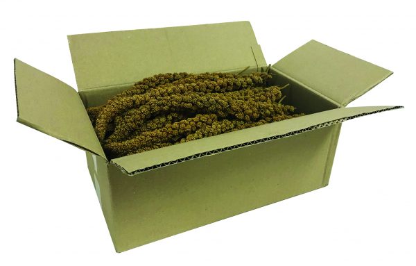 BEAKS! French Yellow Millet Sprays - 5 lb Box - Image 2