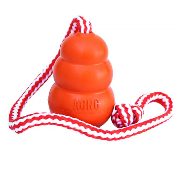 KONG Aqua Lg