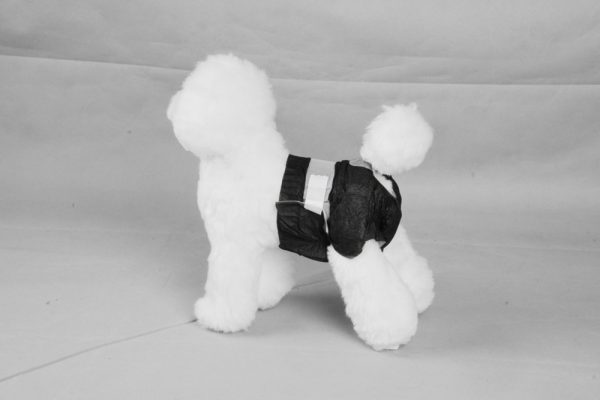 PAWISE Black Disposable Diapers - 12pk XL 20 lbs up