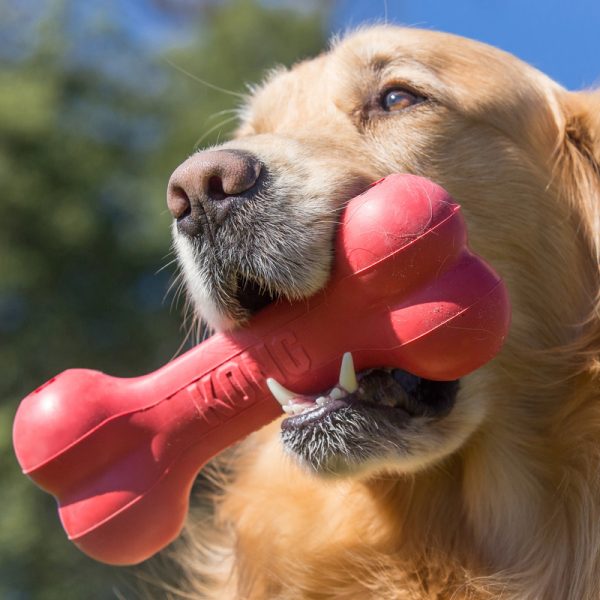 KONG Goodie Bone XL - Image 3