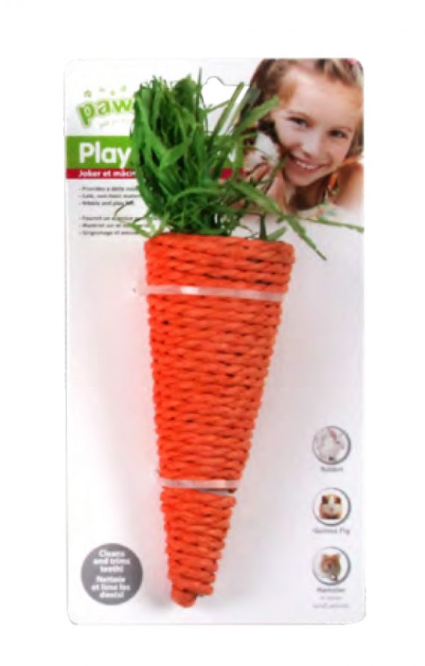 PAWISE LW Nibblers-Corn Husk Chews-Carrot