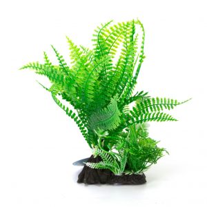 AQUA-FIT Green Broad Leaf Fern Plastic Plant 7"
