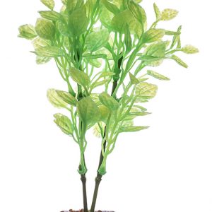 GLOFISH Plant Large Green/Yellow