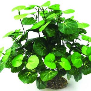 GLOFISH Plant Large Purple/Green