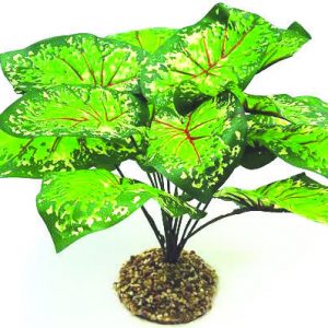 GLOFISH Plant Large Purple/White