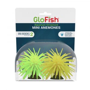 GLOFISH Anemone Yellow/Green Mini 2 CT