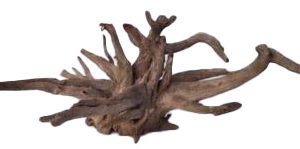 AQUAGLOBE Large Sabawood