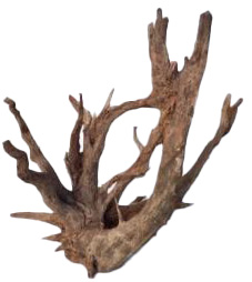 AQUAGLOBE Xlarge Sabawood