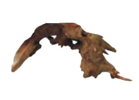 AQUAGLOBE Small Pacific Wood