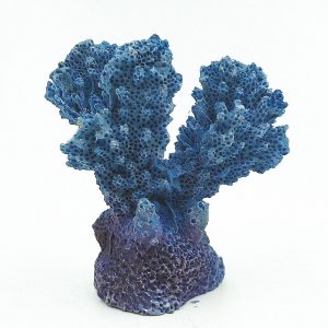 AQUA-FIT Polyresin Colt Coral 2x1.5x2in