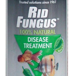 KORDON Rid Fungus 4 oz