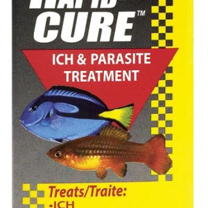 KORDON Rapid Cure 4 oz